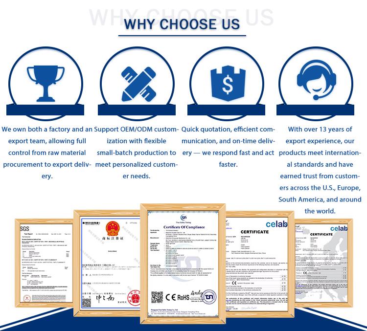 WPS8